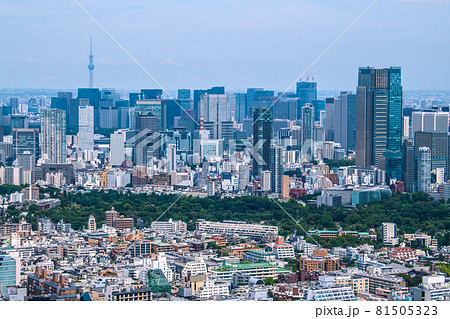 日本の東京都市景観　大手町などのオフィスビル群などを望む 81505323