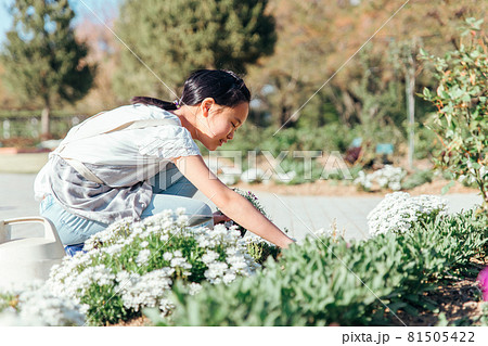 園芸・ガーデニングする女の子 81505422