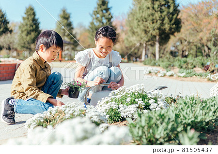 園芸・ガーデニング・スローライフ（姉弟） 81505437