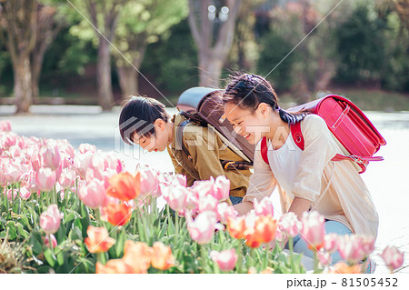 花畑と小学生 花畑と小学生 81505452