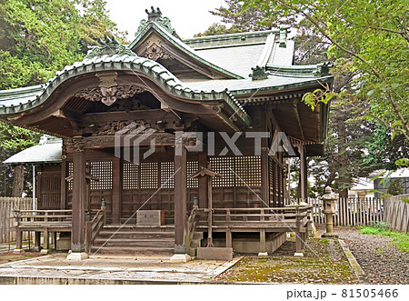 野田市散歩:香取神社 拝殿 野田市散歩:香取神社 拝殿 81505466
