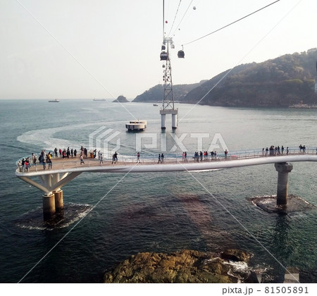 海 海洋 桟橋 81505891