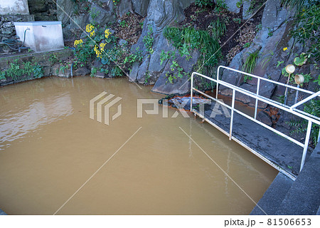 大分県姫島　拍子水温泉 81506653