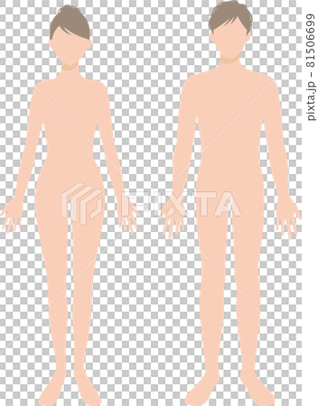 男性と女性の身体　全身　フラットイラスト 81506699