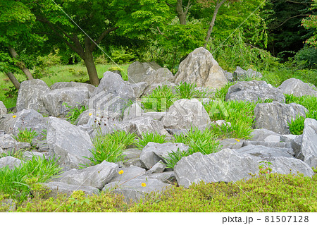 八戸石灰鉱山 八戸石灰鉱山 81507128