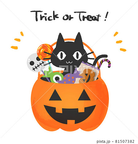 ハロウィンのカボチャのバスケットに入っている黒猫とお菓子のイラスト素材