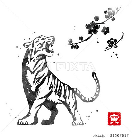 2022年　寅年　年賀状　素材 81507617