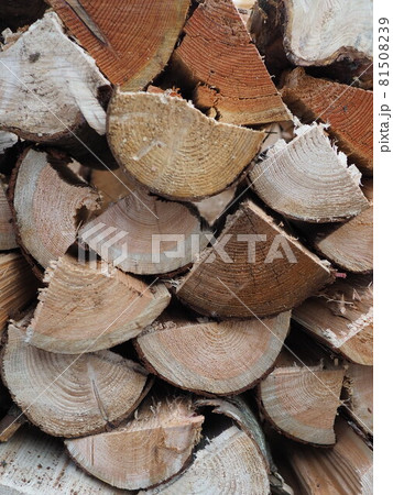 積まれた薪 積まれた薪 81508239
