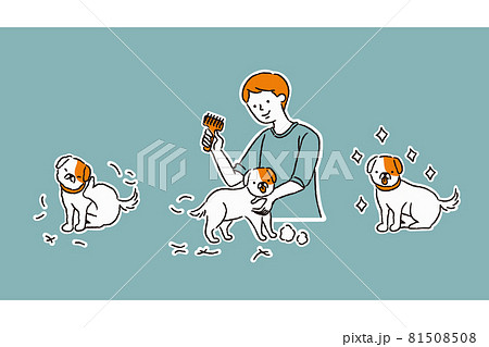 犬をトリミングする流れ(シンプル) 犬をトリミングする流れ(シンプル) 81508508