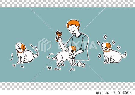 犬をトリミングする流れ(シンプル) 犬をトリミングする流れ(シンプル) 81508508