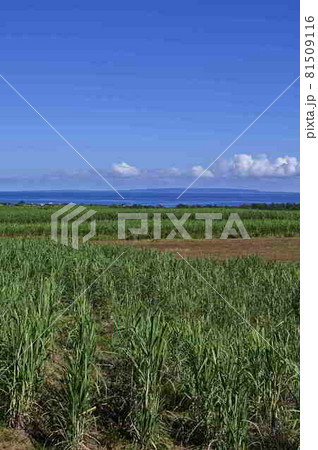 喜界島の見える風景 奄美大島 喜界島の見える風景 奄美大島 81509116