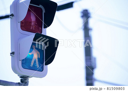 横断歩道　信号機 81509803