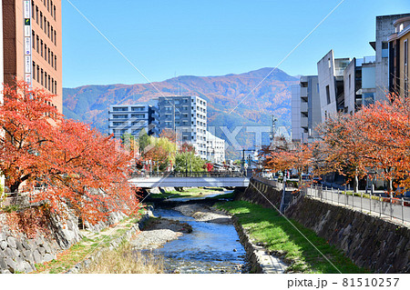 千歳橋/女鳥羽川周辺、四柱神社方面を望む(長野県松本市)【2019.11】 千歳橋/女鳥羽川周辺、四柱神社方面を望む(長野県松本市)【2019.11】 81510257