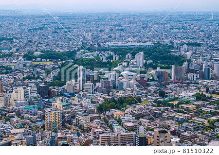 日本の東京都市景観 目黒区駒場などの街並みを望む 日本の東京都市景観 目黒区駒場などの街並みを望む 81510322