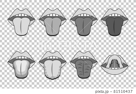 舌診の図表イラスト（漢方相談）白黒 81510437