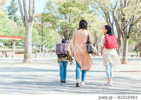 公園を歩く親子(後ろ姿) 公園を歩く親子(後ろ姿) 81510461