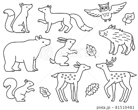 Line drawing illustrations of forest animals - Stock Illustration  [81510481] - PIXTA