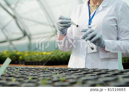 Gloved scientist putting sample of soil into flask 81510665