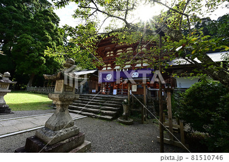 丹生都比賣神社より 81510746