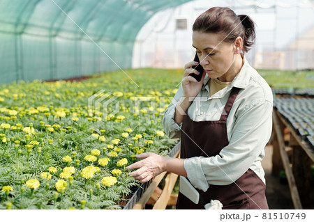 Comfident gardener in workwear talking on smartphone 81510749