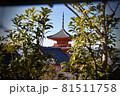 冬の京都、清水寺より、三重塔 81511758