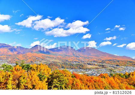 錦秋の浅間連峰(浅間山、黒斑山、高峰山)を望む(長野県小諸市)【2020.11】 81512026