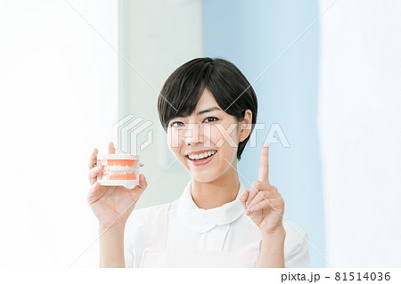歯科で働く女性 81514036