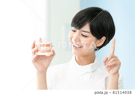 歯科で働く女性 81514038