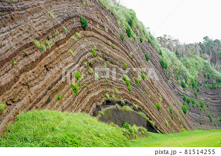 伊豆大島の地層切断面 81514255