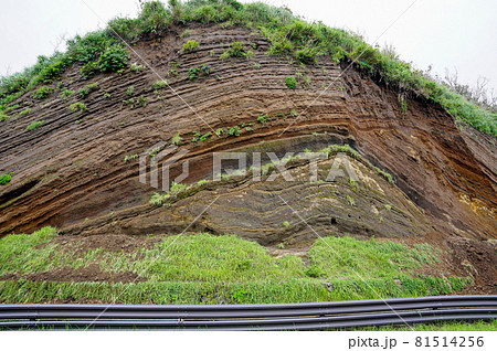 伊豆大島の地層切断面 伊豆大島の地層切断面 81514256