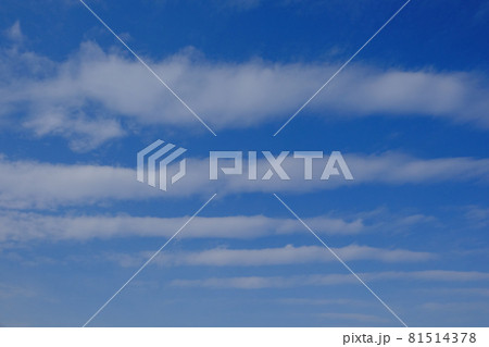 White feather clouds against the blue sky. Striped sky. Background. 81514378