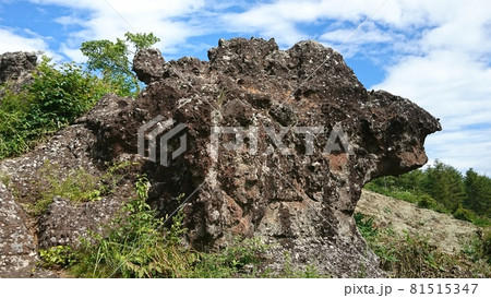 野辺山高原・平沢峠しし岩 野辺山高原・平沢峠しし岩 81515347