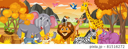 Forest panorama at sunset time scene with various wild animals 81516272