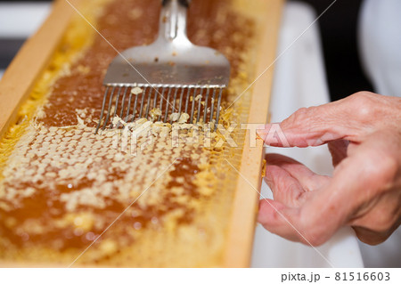 Woman de-capping honeycomb to collect honey Woman de-capping honeycomb to collect honey 81516603