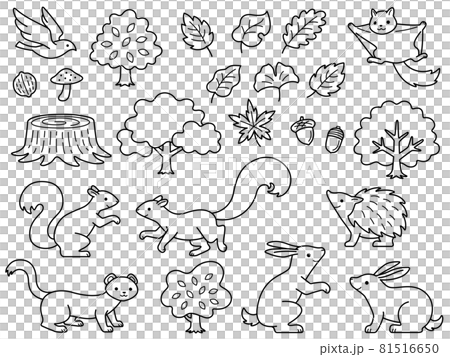 Line drawing illustrations of small animals in the forest and various trees and leaves Line drawing illustrations of small animals in the forest and various trees and leaves 81516650