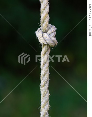 Knotted sports rope hanging from crossbar of horizontal bar Knotted sports rope hanging from crossbar of horizontal bar 81517284