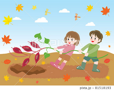 秋に芋掘りをする子供たち 81518193