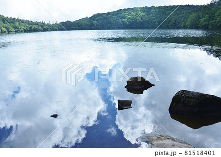夏の白駒の池の水面 81518401