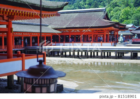 厳島神社 境内 厳島神社 境内 81518901