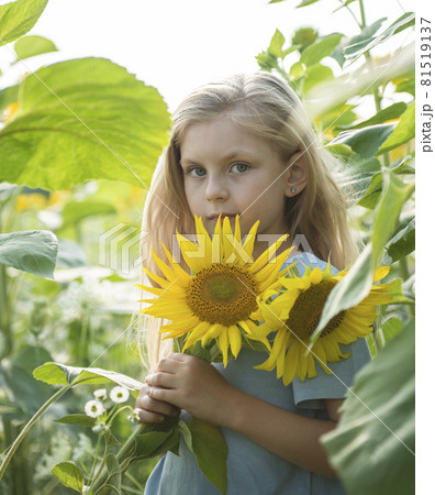 Beautiful little girl in sunflowers 81519137