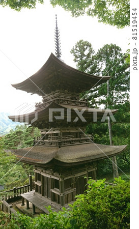 夏の国宝大法寺三重塔 夏の国宝大法寺三重塔 81519454