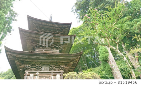夏の国宝大法寺三重塔 夏の国宝大法寺三重塔 81519456