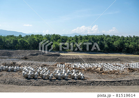 河川に並べられた消波ブロック 河川に並べられた消波ブロック 81519614