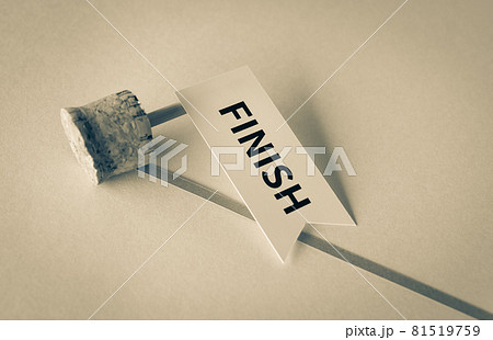 倒れたFINISH　フィニッシュでこける　フィニッシュライン　達成できない　完走　断念　制限時間 81519759
