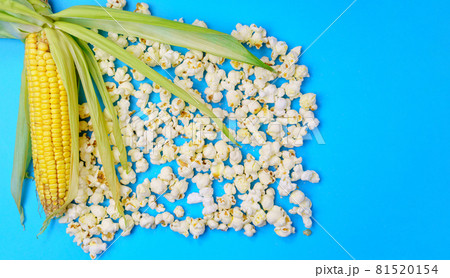 Popcorn raw organic yellow Corn on the Cob Ready to Eat. On blue background Popcorn raw organic yellow Corn on the Cob Ready to Eat. On blue background 81520154