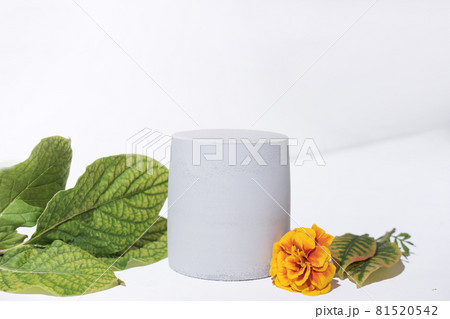 cement geometric podium for product presentation. showcase for autumn sale of a product. empty fall decoration scene, concrete pedestal for cosmetic placement. 81520542