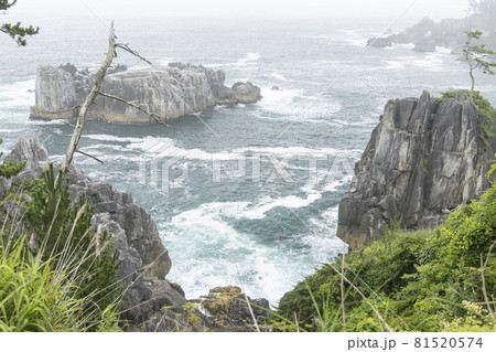 宮城県気仙沼市　海の散歩道　岩場からの景色　渦潮　海流　波頭 81520574