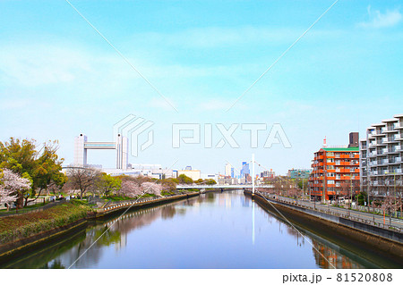 春の名古屋市、桜とセンチュリーホールの風景 春の名古屋市、桜とセンチュリーホールの風景 81520808