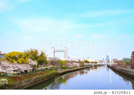 春の名古屋市、桜とセンチュリーホールの風景 春の名古屋市、桜とセンチュリーホールの風景 81520811