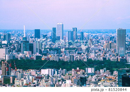 日本の東京都市景観　池袋の超高層ビルや新宿御苑などを望む 81520844